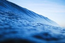 Какие продукты способствуют сексуальной жизни?