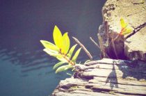 Женская сексуальность: как её подчеркнуть?