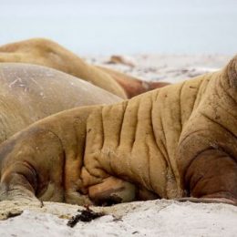 Циклы жизни: когда наступает духовная зрелость?