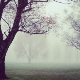 Благотворительность: три причины этим заниматься