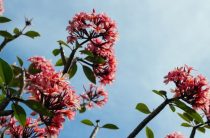 Упражнения для улучшения зрения: офисным работникам на заметку