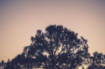 Путешествия по миру