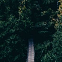 Женственность: что может её погубить?