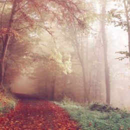 Конформизм: нужен ли он в отношениях?