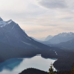 Услышать друг друга: искусство или необходимость