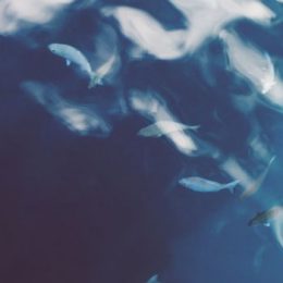 Как сделать замечание: конструктивная критика?