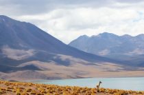 Как правильнее организовать акт благотворительности