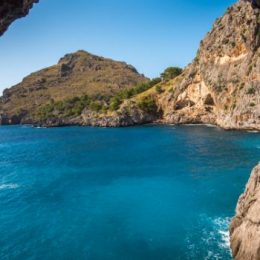 Религия. Католическая церковь