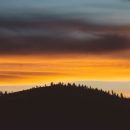 Творить добро в разумных пределах!