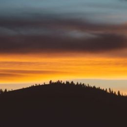 Творить добро в разумных пределах!