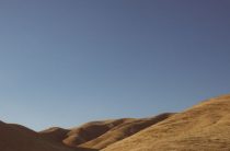 Закон дуализма