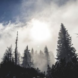 Экотовары – товары будущего.