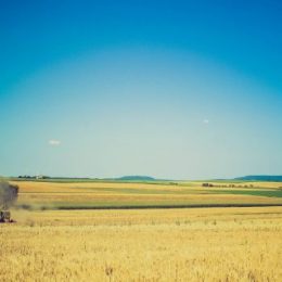 Хватит держаться за то, что не держится за вас