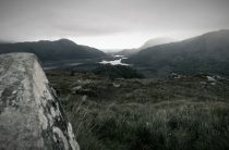 Командообразование