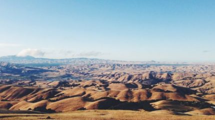 Улучшение состояния здоровья соблюдающих религиозные посты