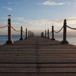 Живое ограждение