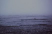 Стремительность в бизнесе — важное качество для достижения успеха