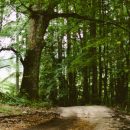 Как начать новую жизнь этой весной?