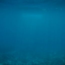 Благотворительность как предмет изучения