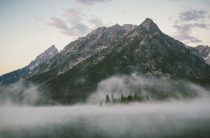 Что передает благотворитель во время благотворительного акта