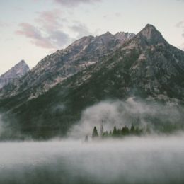 Что передает благотворитель во время благотворительного акта