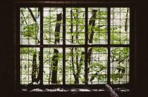 Компании и благотворительность