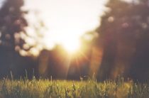 Когда жена старше мужа, преимущества такого брака