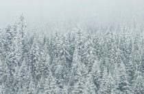 Насколько важен здоровый образ жизни для бизнесменов