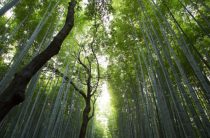 Как создать благотворительный фонд?