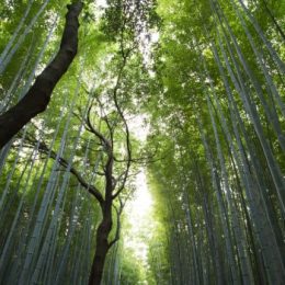 Как создать благотворительный фонд?