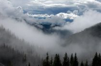 Почему отцы не платят алименты?