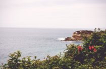 Компресс на горло: рецепты наших бабушек