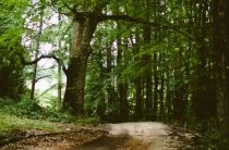 Как провести девичник: практические рекомендации