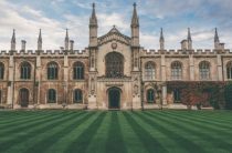 Какая порода собак самая умная?