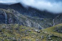 Коровье молоко: можно ли его заменить?