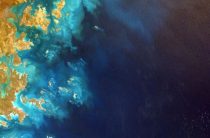 Как узнать изменяет ли жена?