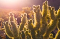 Как открыть свой магазин: несколько простых советов