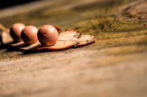 Новая Зеландия: что стоит посмотреть туристу?