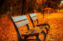 Что ворует… телевизор?