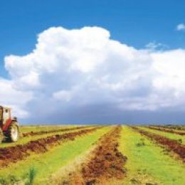 Бизнес идеи в деревне с нуля